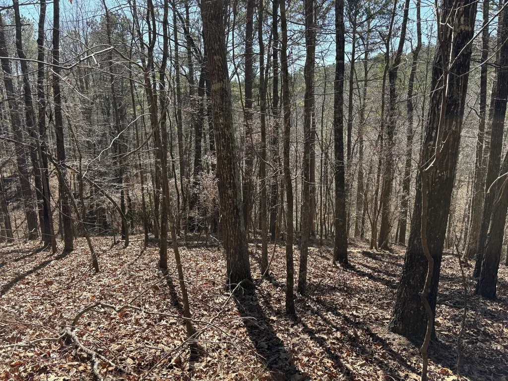 71 Orion Lane Roanoke AL 36274