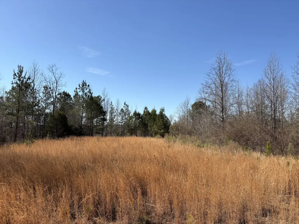 71 Orion Lane Roanoke AL 36274