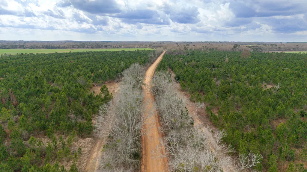 0 Chipola Road Slocomb AL 36375