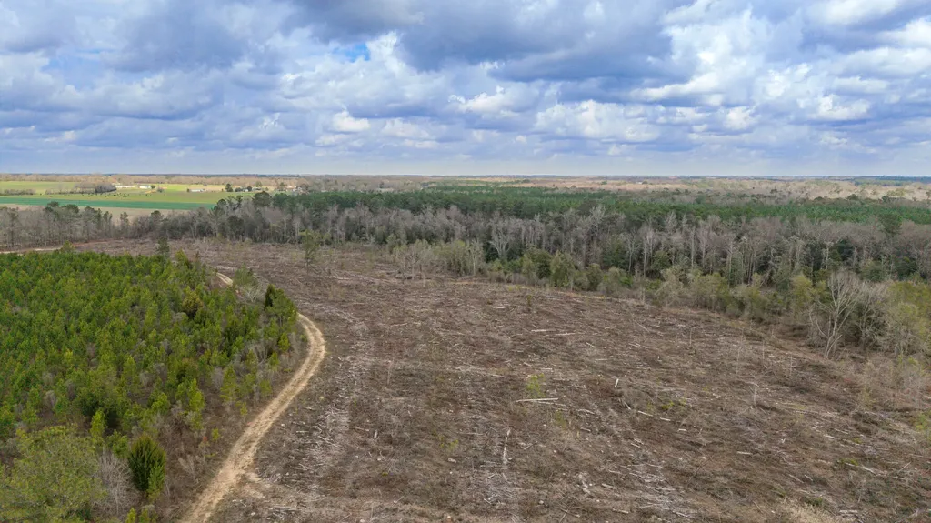 0 Chipola Road Slocomb AL 36375