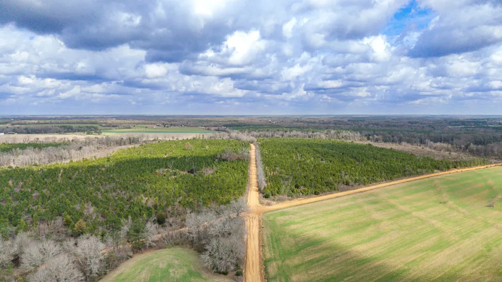 0 Chipola Road Slocomb AL 36375