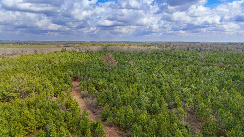 0 Chipola Road Slocomb AL 36375