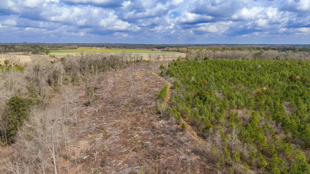 0 Chipola Road Slocomb AL 36375
