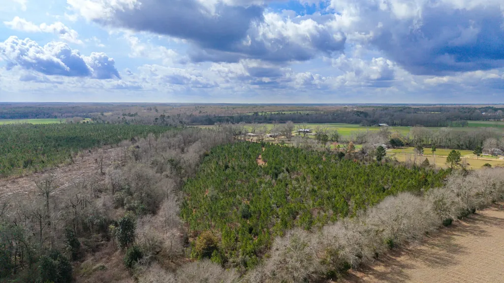 0 Chipola Road Slocomb AL 36375