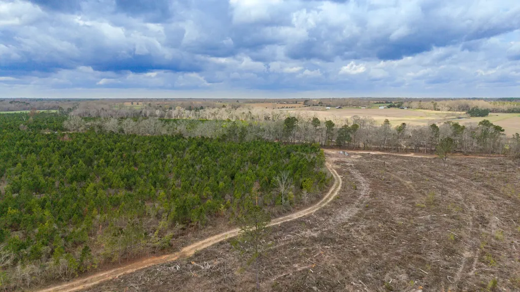 0 Chipola Road Slocomb AL 36375
