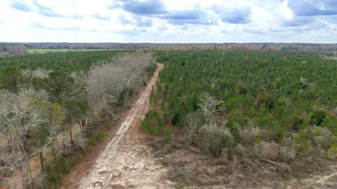 0 Chipola Road Slocomb AL 36375