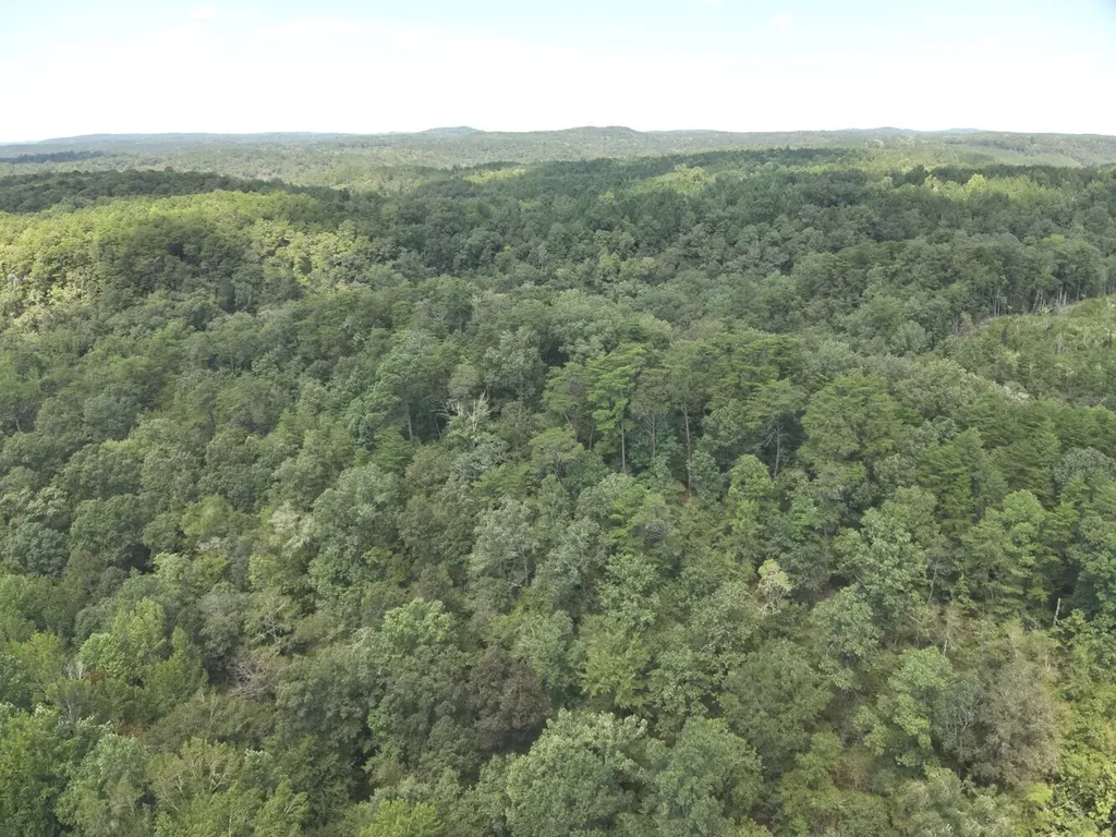 0 Stanley Road Brookwood AL 35444