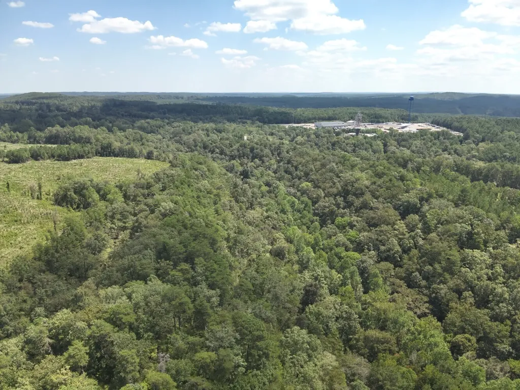 0 Stanley Road Brookwood AL 35444