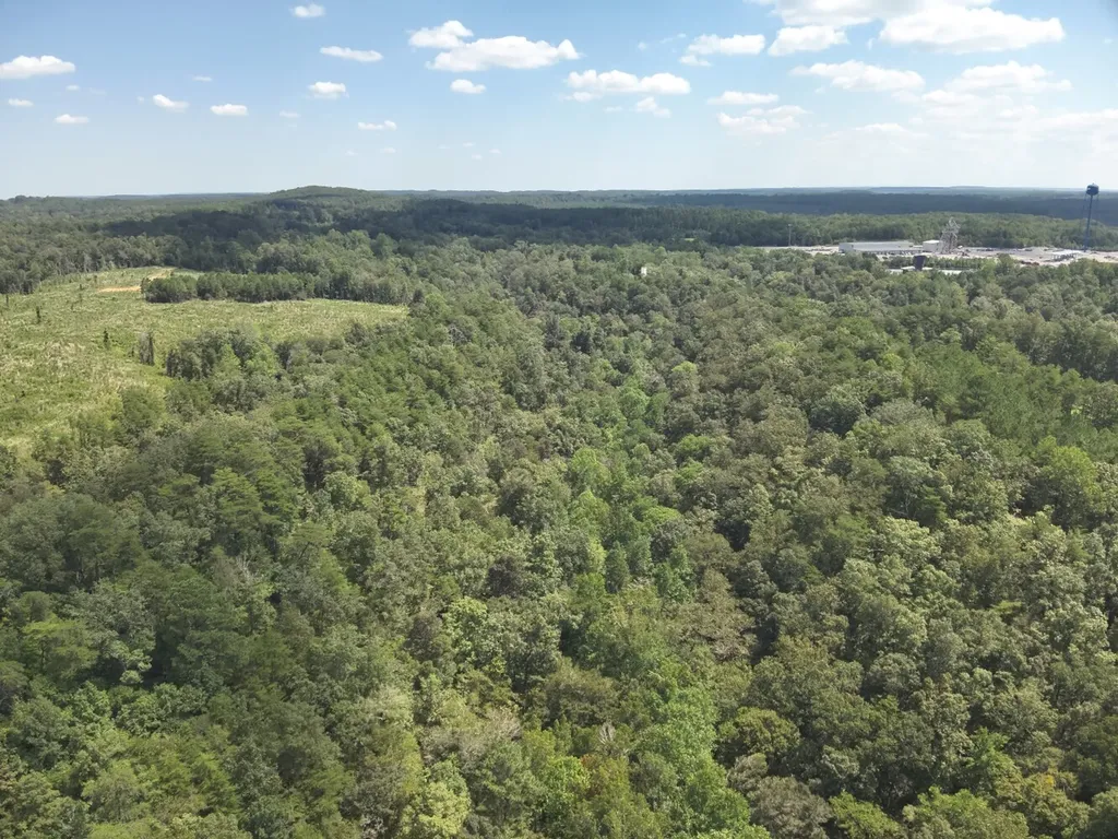 0 Stanley Road Brookwood AL 35444
