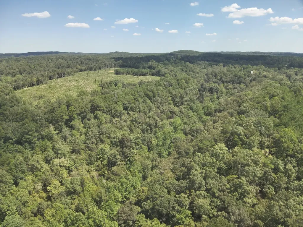 0 Stanley Road Brookwood AL 35444