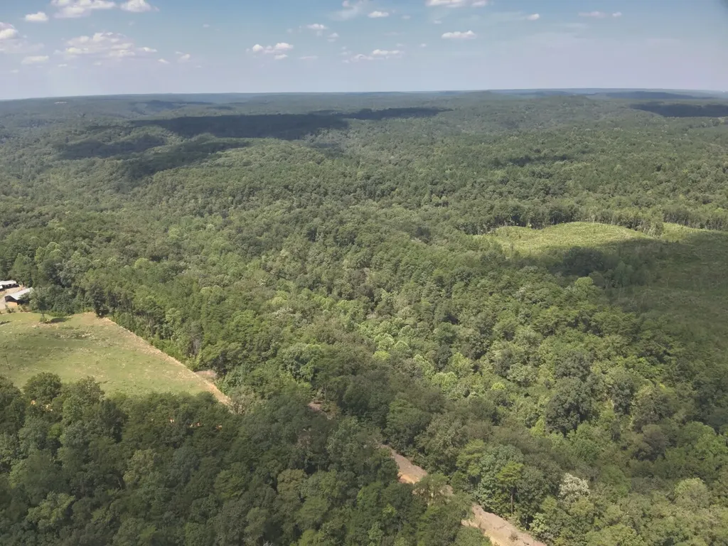 0 Stanley Road Brookwood AL 35444