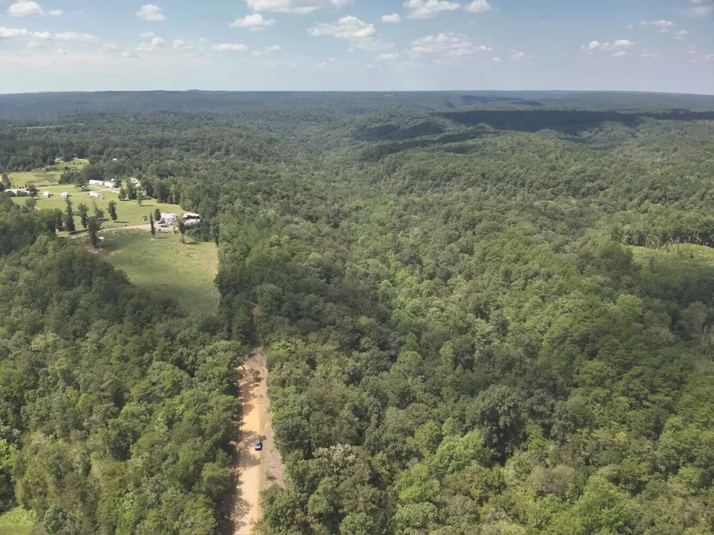 0 Stanley Road Brookwood AL 35444