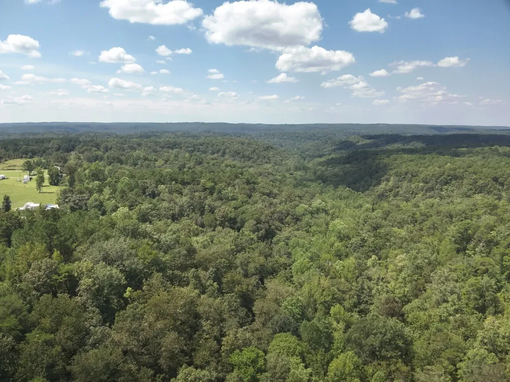 0 Stanley Road Brookwood AL 35444