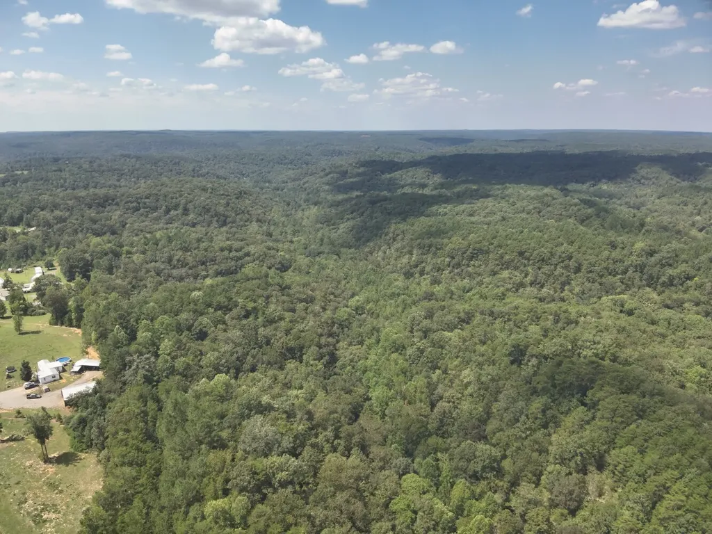 0 Stanley Road Brookwood AL 35444