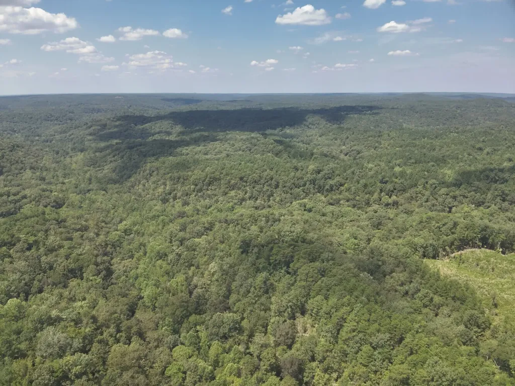0 Stanley Road Brookwood AL 35444