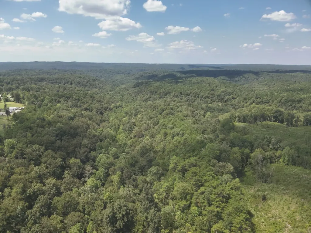 0 Stanley Road Brookwood AL 35444
