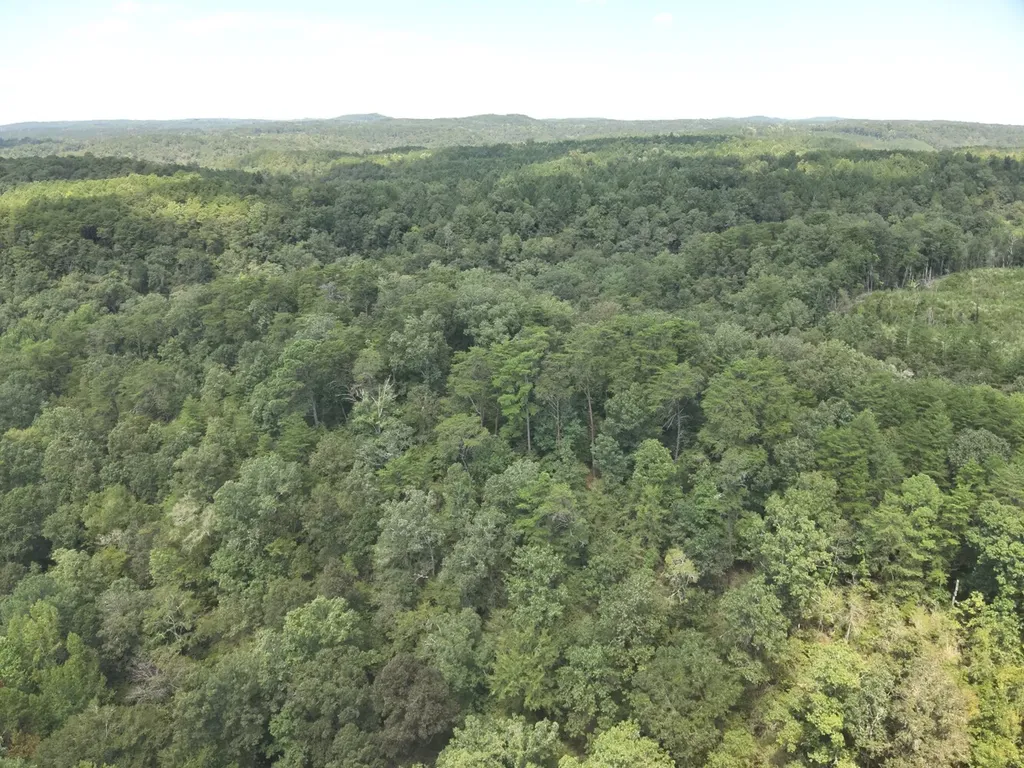 0 Stanley Road Brookwood AL 35444