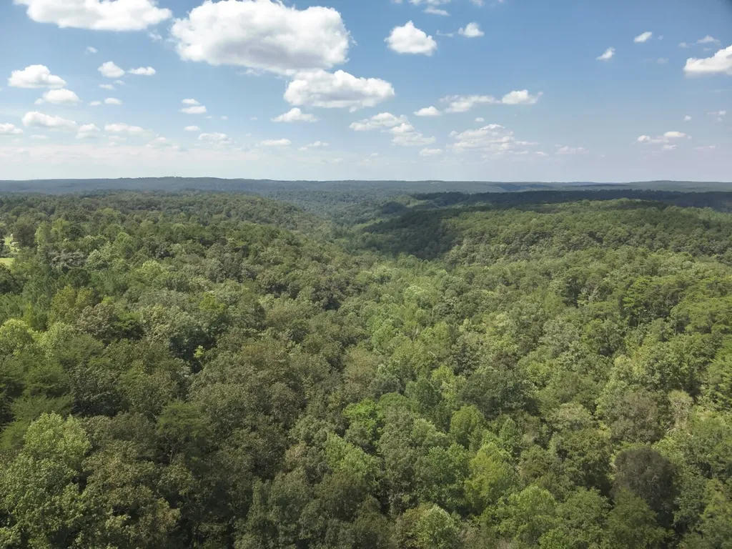 0 Stanley Road Brookwood AL 35444