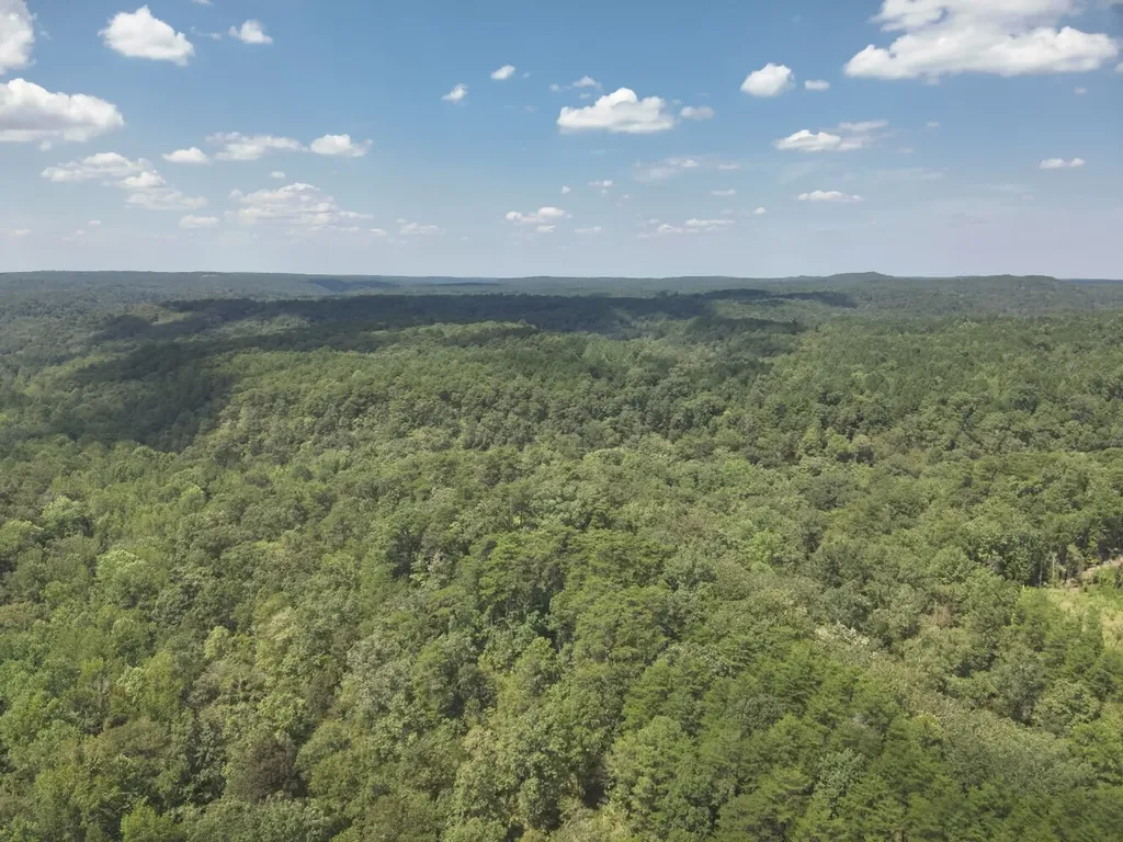 0 Stanley Road Brookwood AL 35444