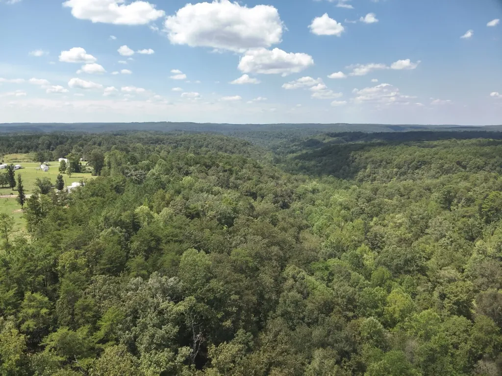 0 Stanley Road Brookwood AL 35444