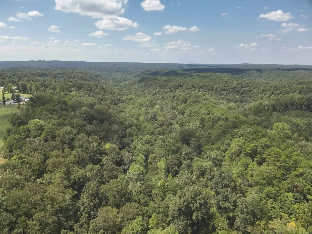 0 Stanley Road Brookwood AL 35444