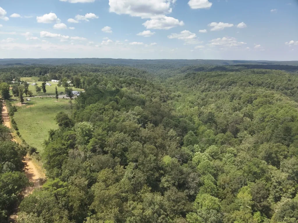 0 Stanley Road Brookwood AL 35444