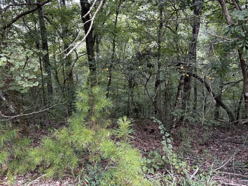 0 Stanley Road Brookwood AL 35444
