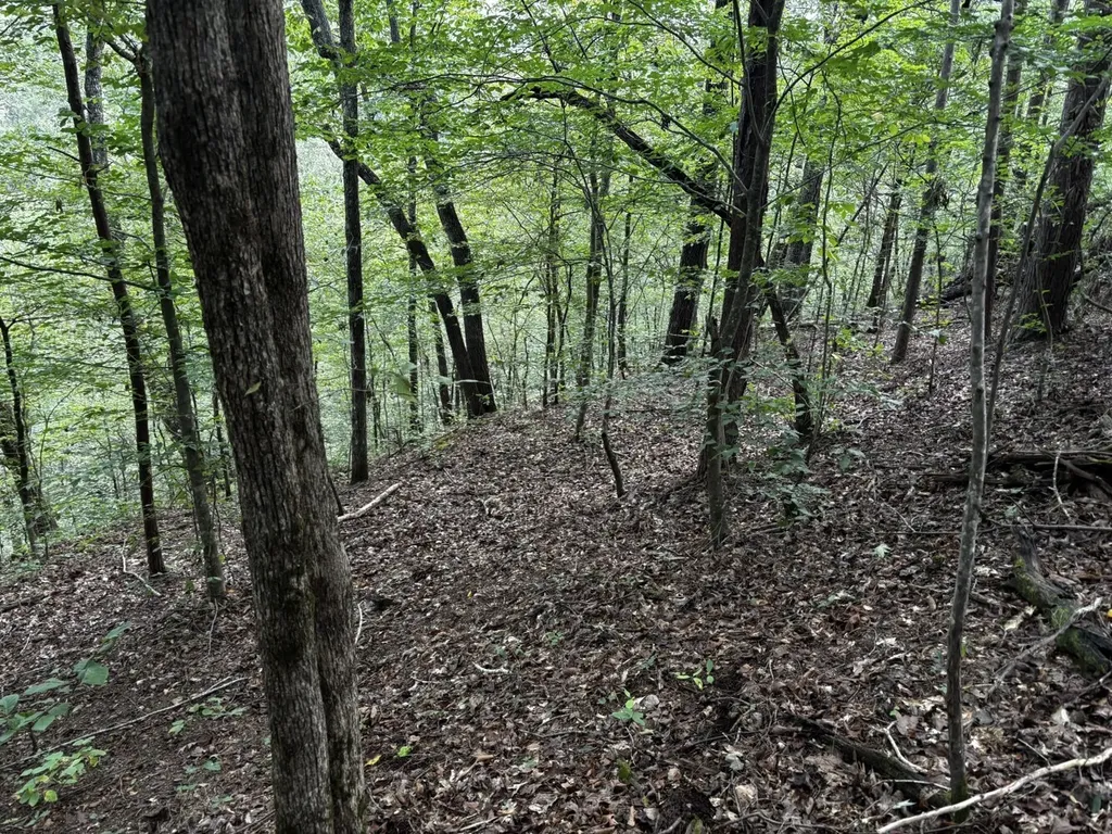 0 Stanley Road Brookwood AL 35444
