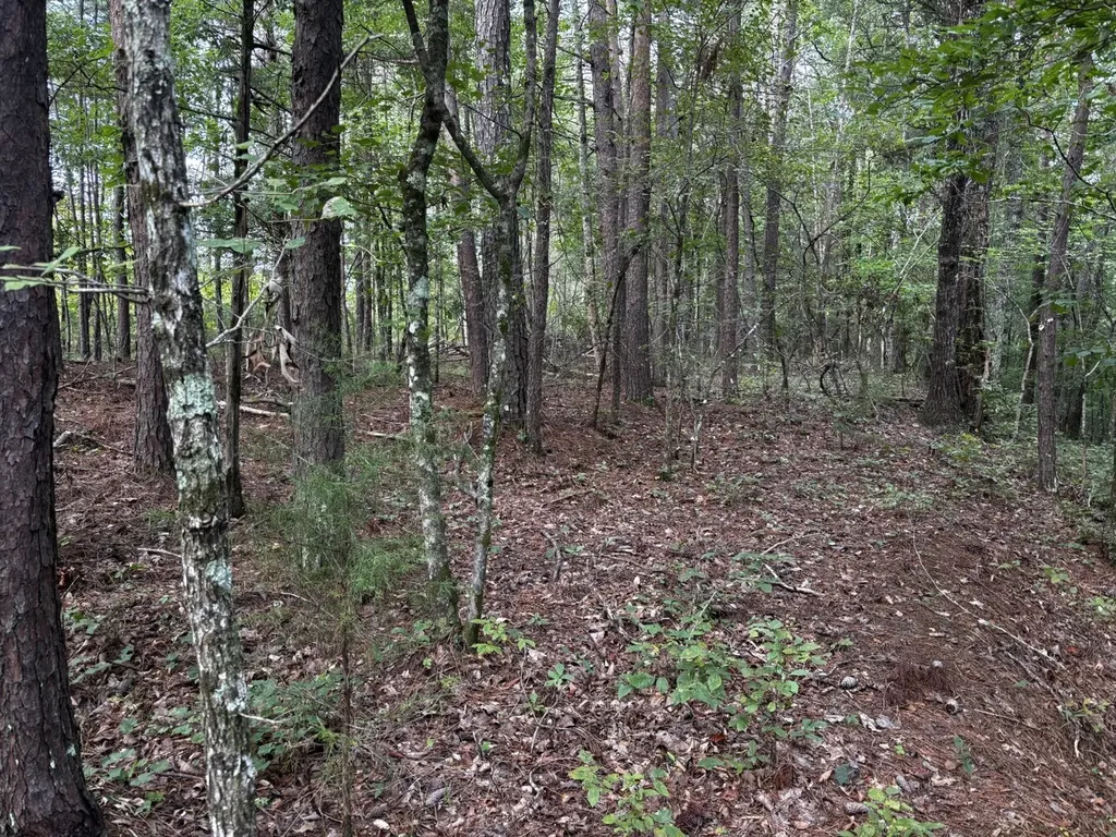 0 Stanley Road Brookwood AL 35444
