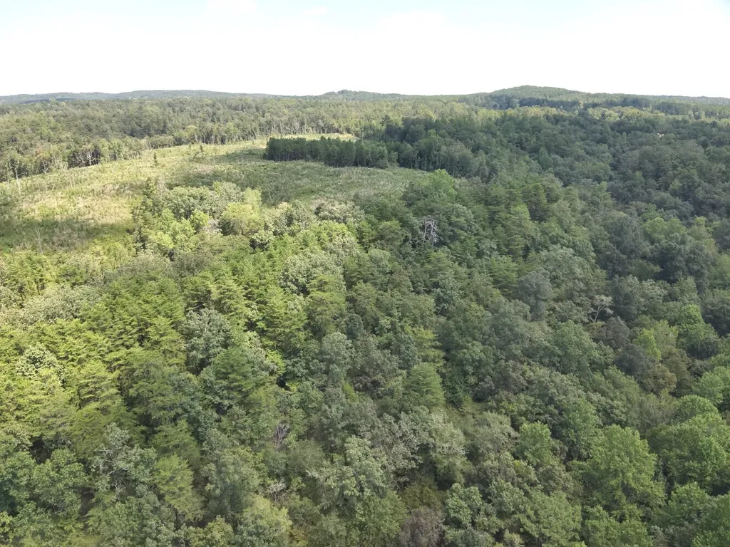 0 Stanley Road Brookwood AL 35444