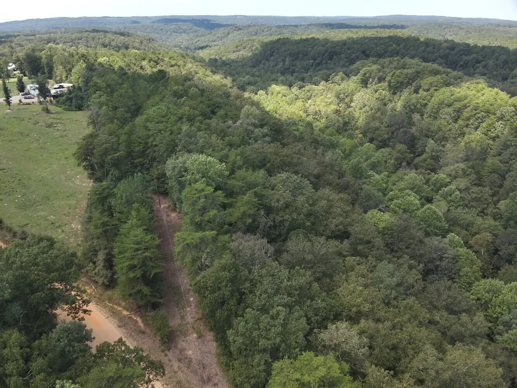 0 Stanley Road Brookwood AL 35444