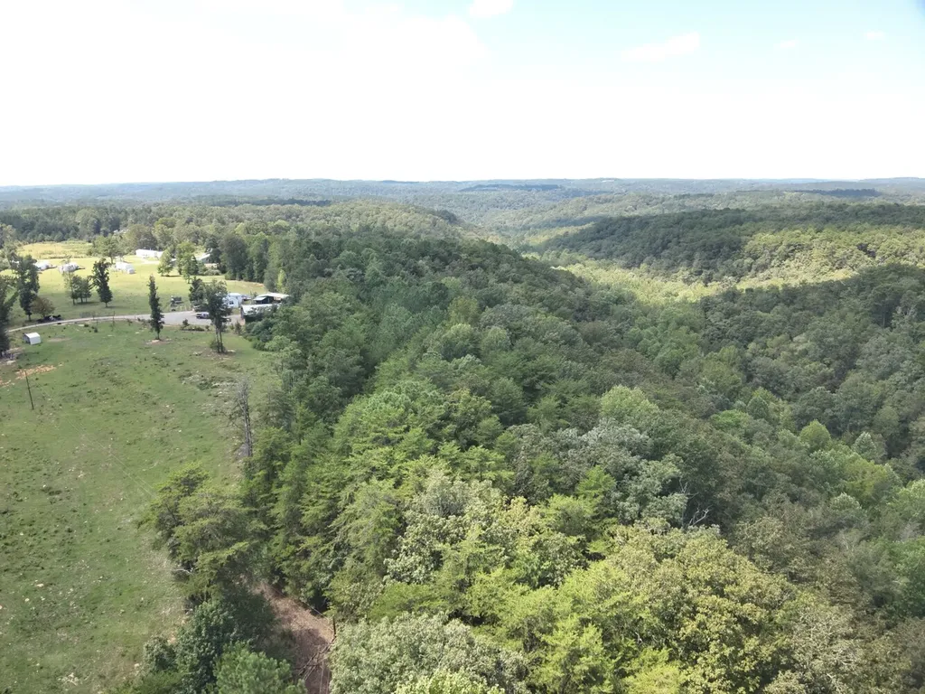 0 Stanley Road Brookwood AL 35444