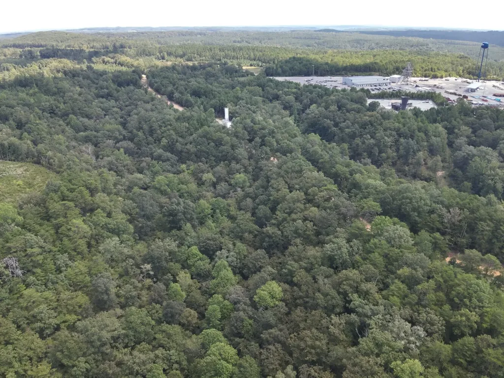 0 Stanley Road Brookwood AL 35444