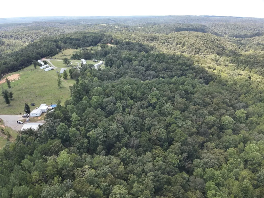 0 Stanley Road Brookwood AL 35444