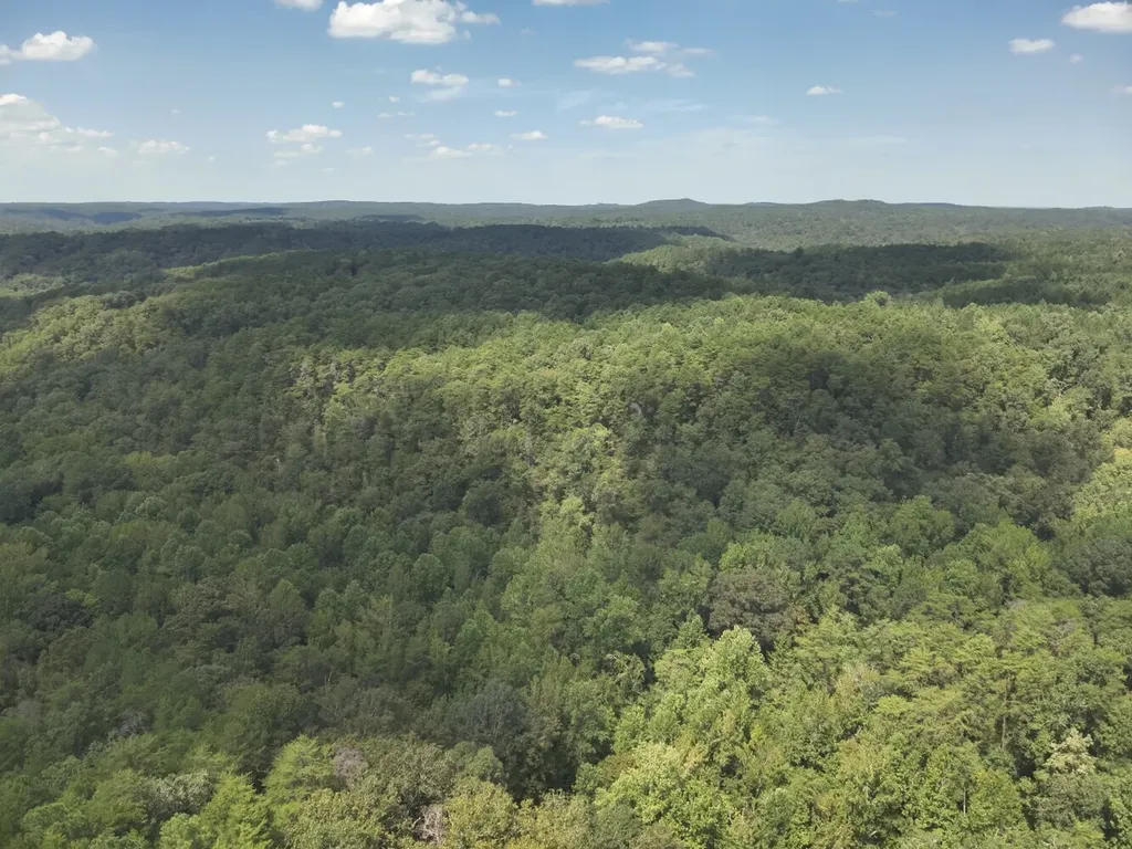 0 Stanley Road Brookwood AL 35444