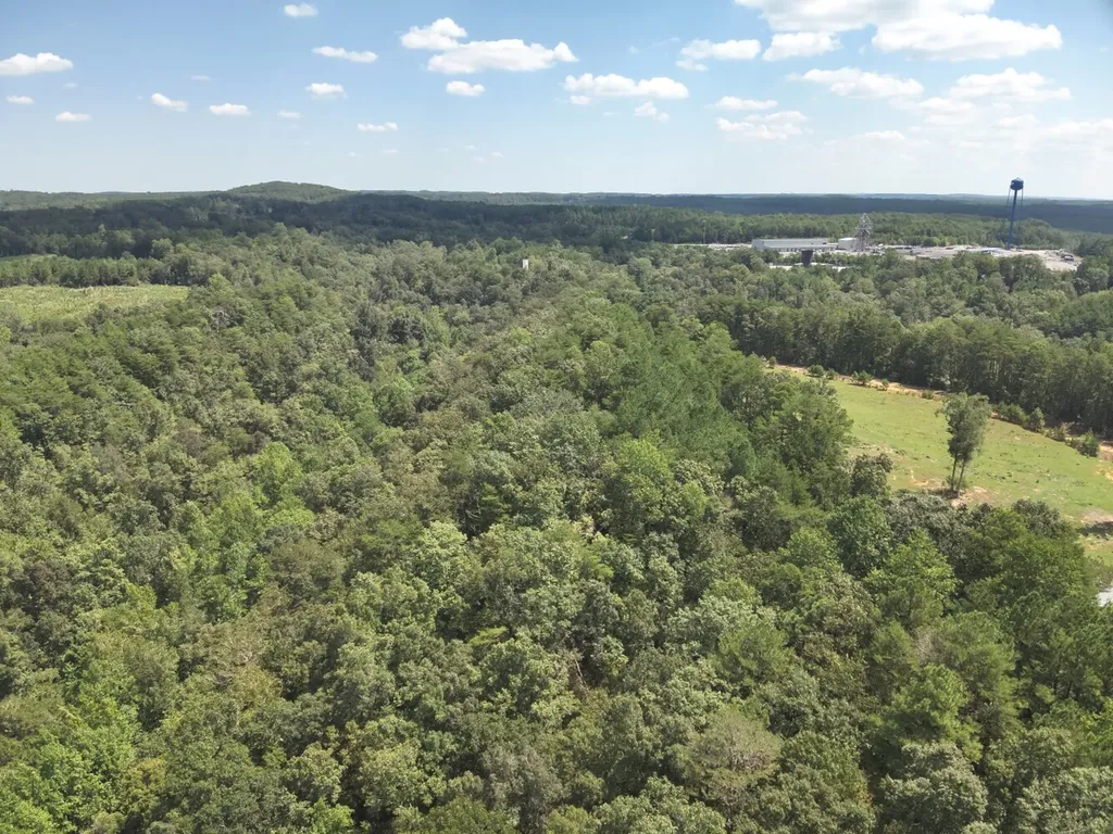 0 Stanley Road Brookwood AL 35444