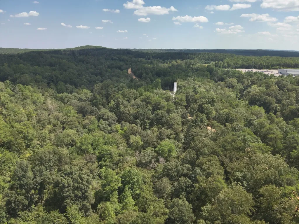 0 Stanley Road Brookwood AL 35444