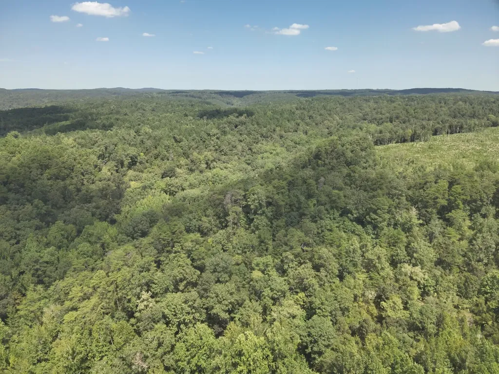 0 Stanley Road Brookwood AL 35444