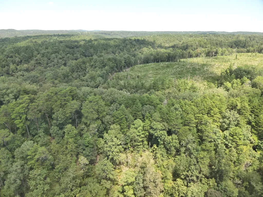 0 Stanley Road Brookwood AL 35444
