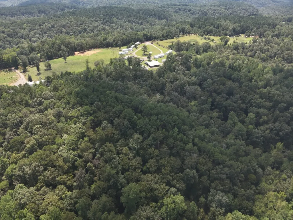 0 Stanley Road Brookwood AL 35444