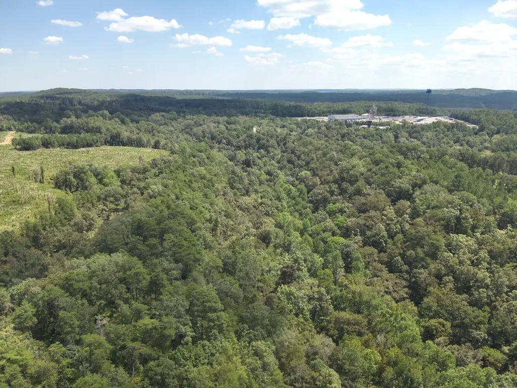 0 Stanley Road Brookwood AL 35444