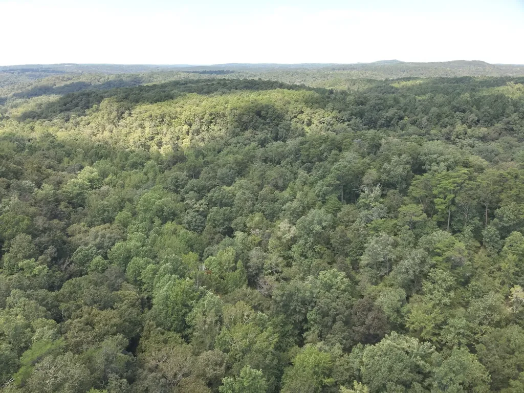 0 Stanley Road Brookwood AL 35444
