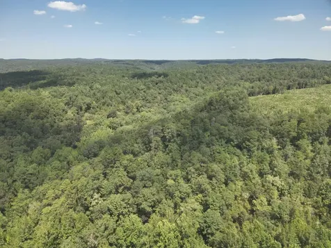 0 Stanley Road Brookwood AL 35444