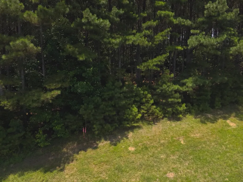 0 County Road 101, Tract 3 Crane Hill AL 35033
