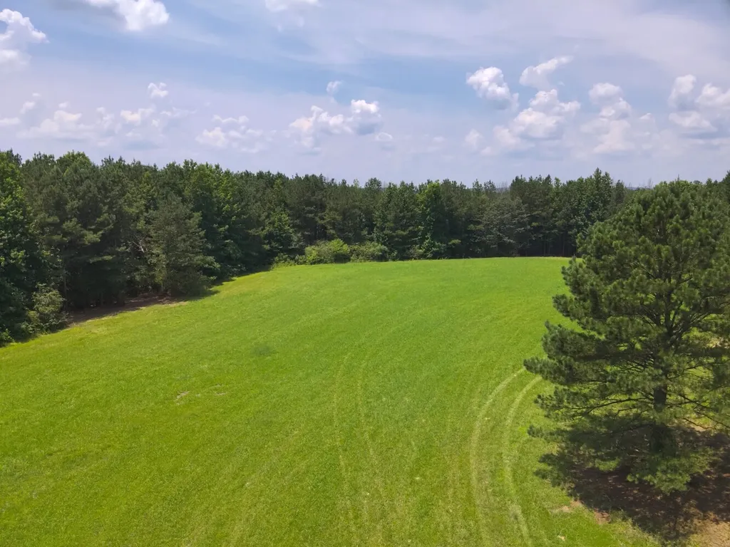 0 County Road 101, Tract 3 Crane Hill AL 35033