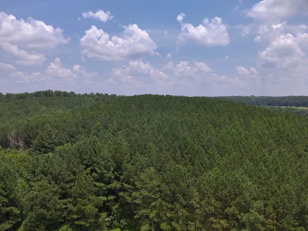 0 County Road 101, Tract 3 Crane Hill AL 35033
