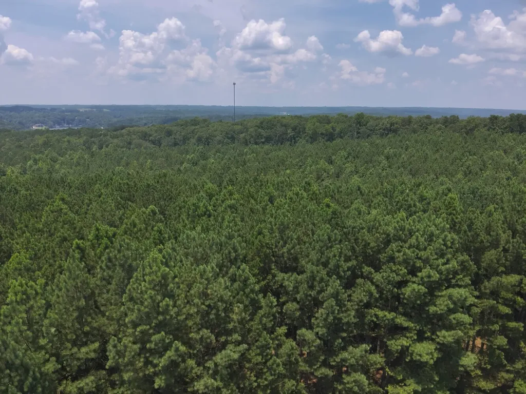 0 County Road 101, Tract 3 Crane Hill AL 35033