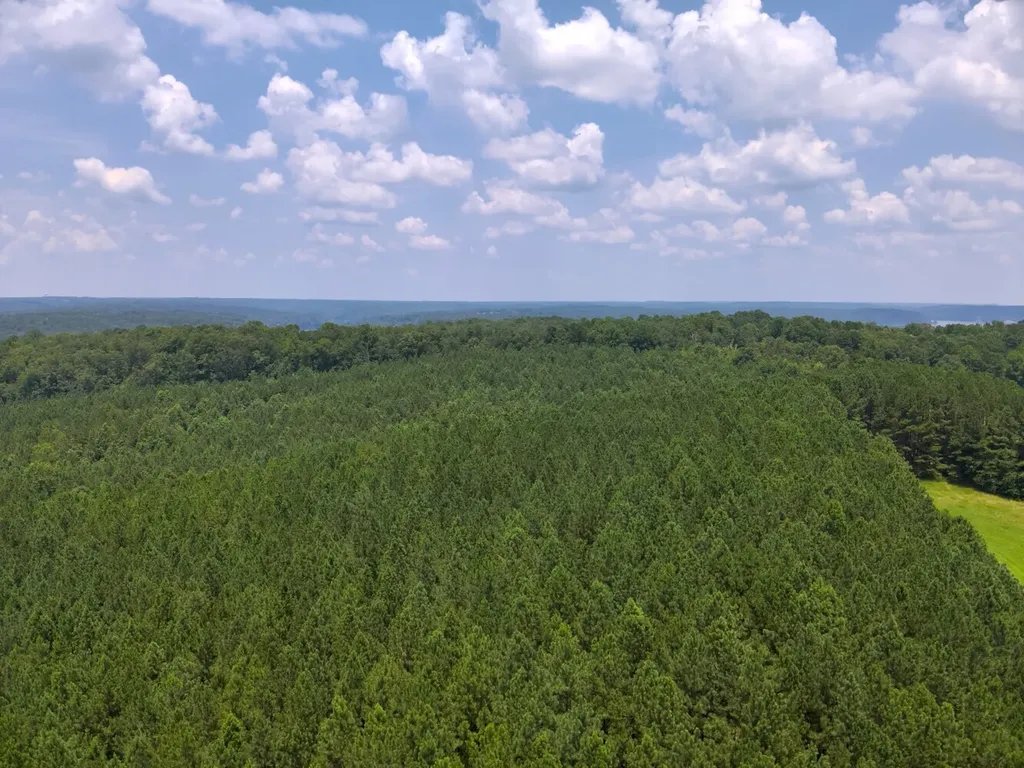 0 County Road 101, Tract 3 Crane Hill AL 35033