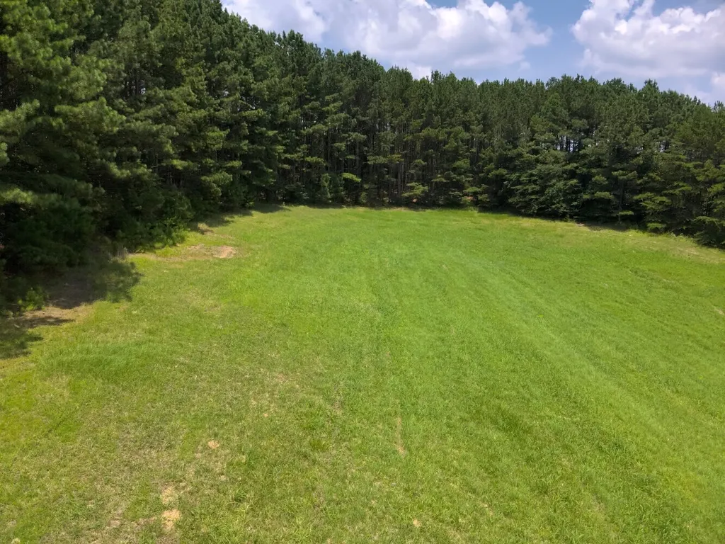 0 County Road 101, Tract 3 Crane Hill AL 35033