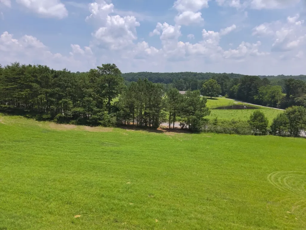 0 Co Road 97 Crane Hill AL 35033